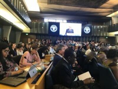 fao 1