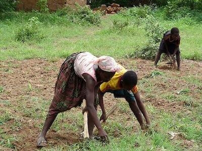 farmers