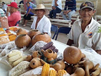 Feria de semillas - México