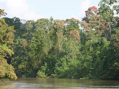 yasuni ahora