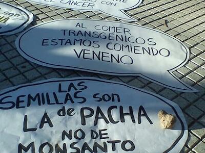 Fuera-Monsanto1