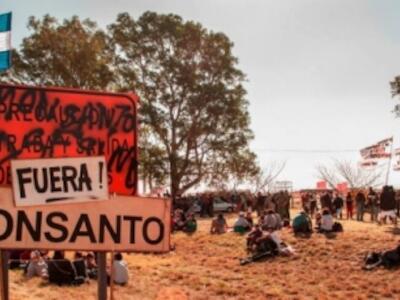 fuera monsanto