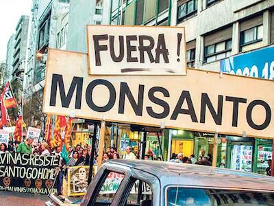 fuera monsanto