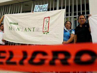 FUERA MONSANTO