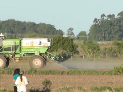 fumigación en canelones