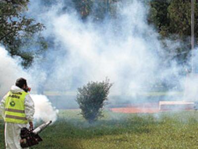 Fumigaciones en la mira