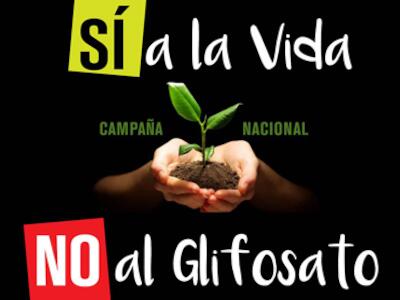 Glifosato-CAMPAÑA.-jpg