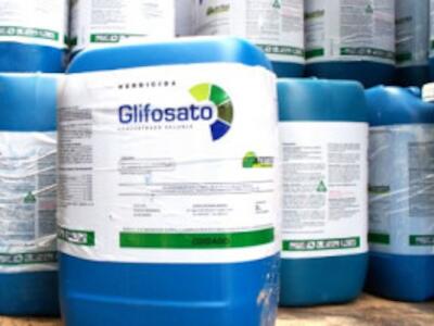 glifosato