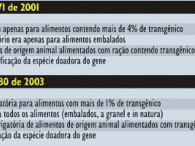 Transgênicos Decretos