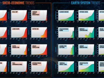 grafico ecodebate