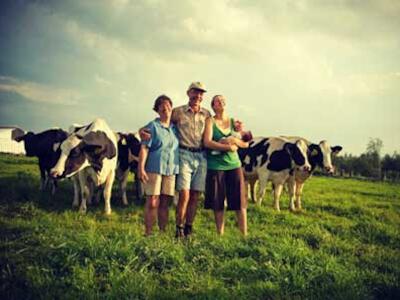 granja