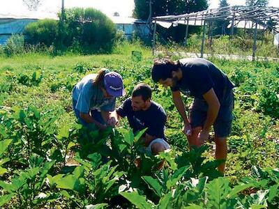 Hay una exigencia social por vivir en ambientes libres de tóxicos