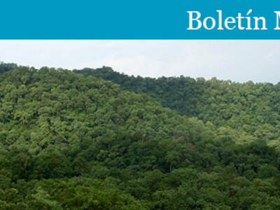 Header-BOLETIN-WRM-ES