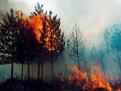 incendios en chile