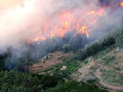 incendios forestales - chile