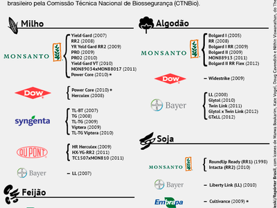 Info_Transgenicos2