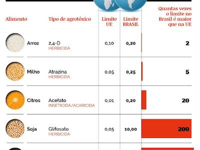 infografico