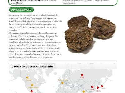 informe carne