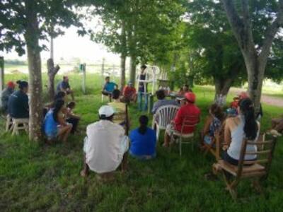 INSUMOS AGROECOLOGICOS EN PARANA - BRASIL