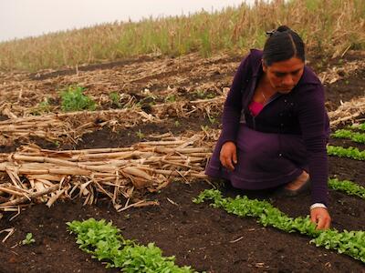 internacionalismo_campesino