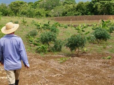 l_restitucion_unidad_de_restitucion_de_tierras_urt_logra_abarcar_el_total_de_la_zona_de_montes_de_maria_en_sucre