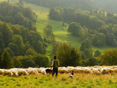 La agroecología aumenta las cosechas y protege el entorno