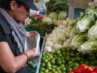 La agroecología como alternativa a los plaguicidas altamente peligrosos