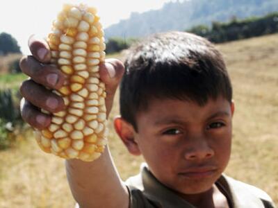 La tierra de los gurises envenenados