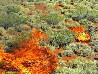 Larry-VERNACULAR-FIRE-IN-WESTERN-AUSTRALIA-apaisada