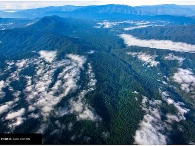 leuser