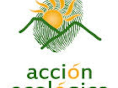 logo AE