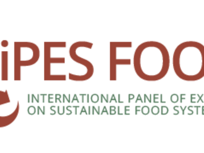 logo_IPESfood
