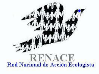 logo renace