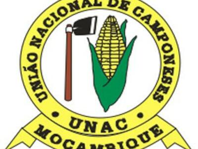 Logo UNAC