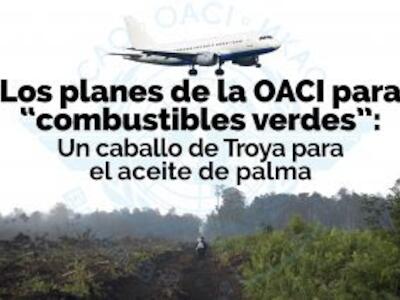 los planes de oaci