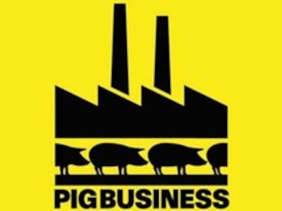 main_pigbusiness