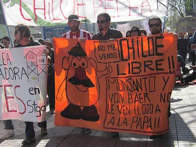 Manifestacion-Chile-Ley-MonsantoFlikr-Mapuexpress_EDIIMA20140415_0472_13