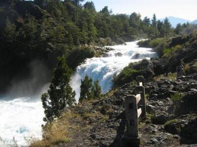 mapuche