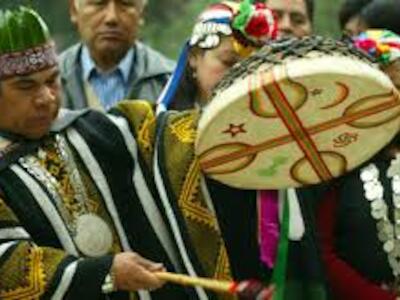 mapuche