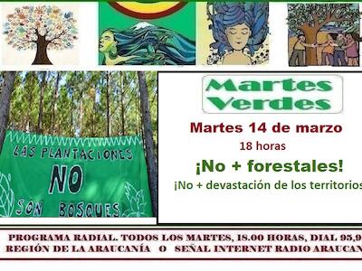 martes verde - Radio