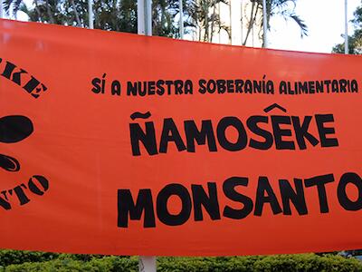 monsanto-banner-DSCN4377-copy