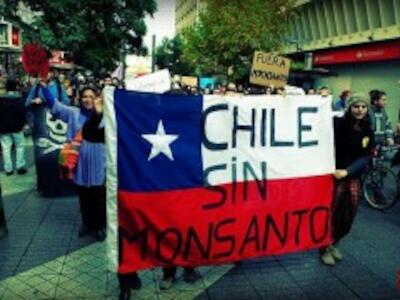 monsanto-chile-300x180