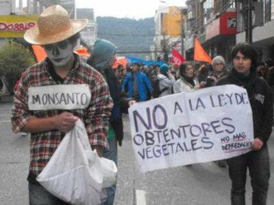 monsanto1