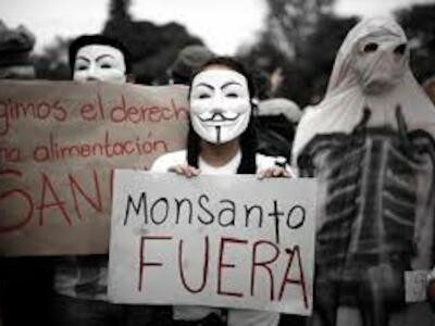 monsanto