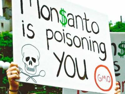monsanto 2