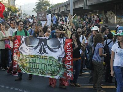 monsanto costa rica
