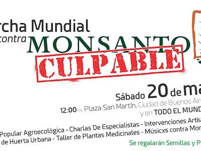 MONSANTO CULPABLE