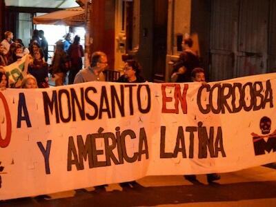 Monsanto insiste en Córdoba