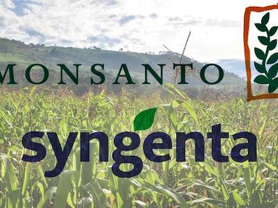 monsanto syn