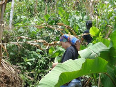 Mujeres defensoras de la Pachamama - Ecuador